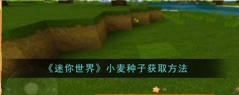 迷你世界小麦怎么做[图1]
