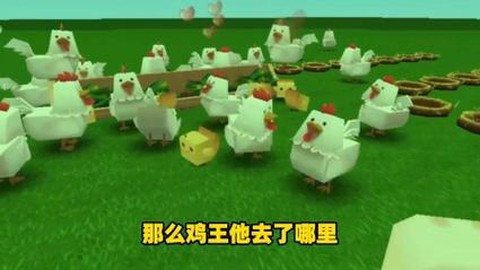迷你世界鸡子吃什么