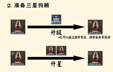 阴阳师狗粮怎么用最好